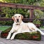 Orthopedic Waterproof Dog Bed - Memory Foam Slab 7cm Thickness (3 inches) - Durable - Waterproof Various Sizes & Colours